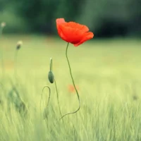 Ambient Positive Meditation