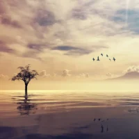 Deep Relaxing Ambient Music