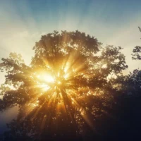 Relaxing Ambient Piano & Cello