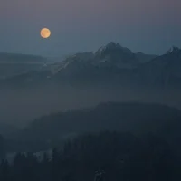 A Dreamy Night's Sleep
