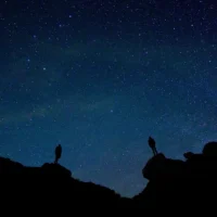 Calm Night