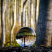 Inner Harmony