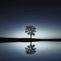 Nights of Calm