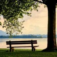 Peaceful Day