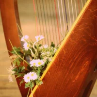 Relaxing Harp